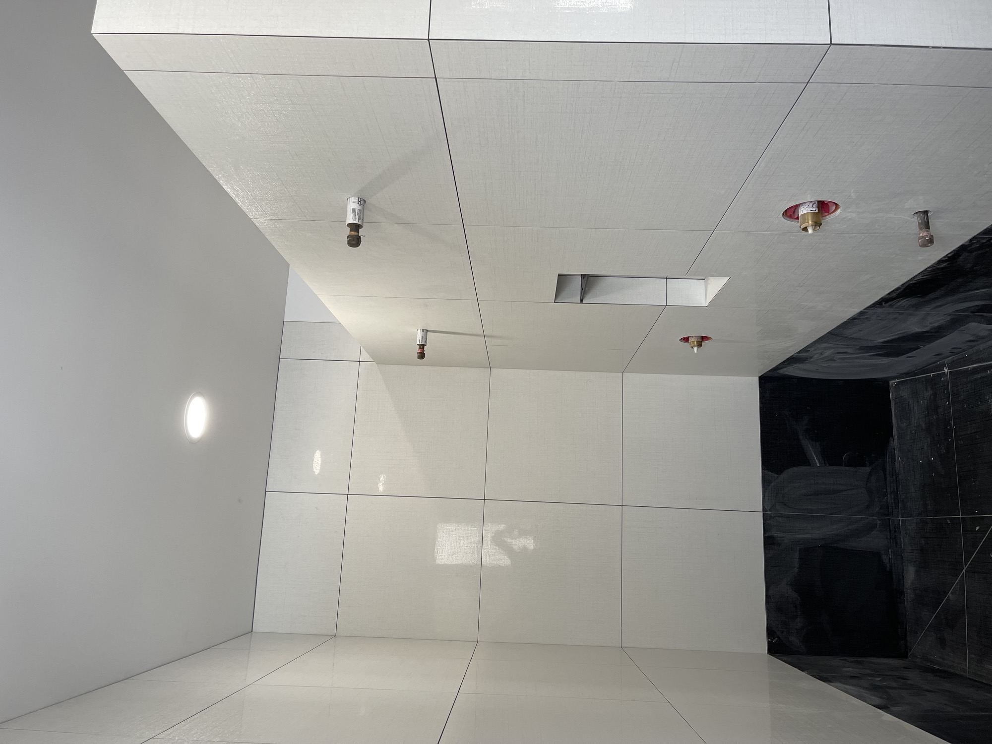 Spacious showers with clean lines.